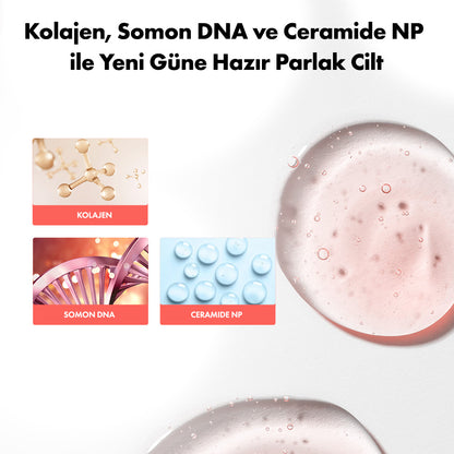 Collagen Night™  Cilt Yenileyici Serum